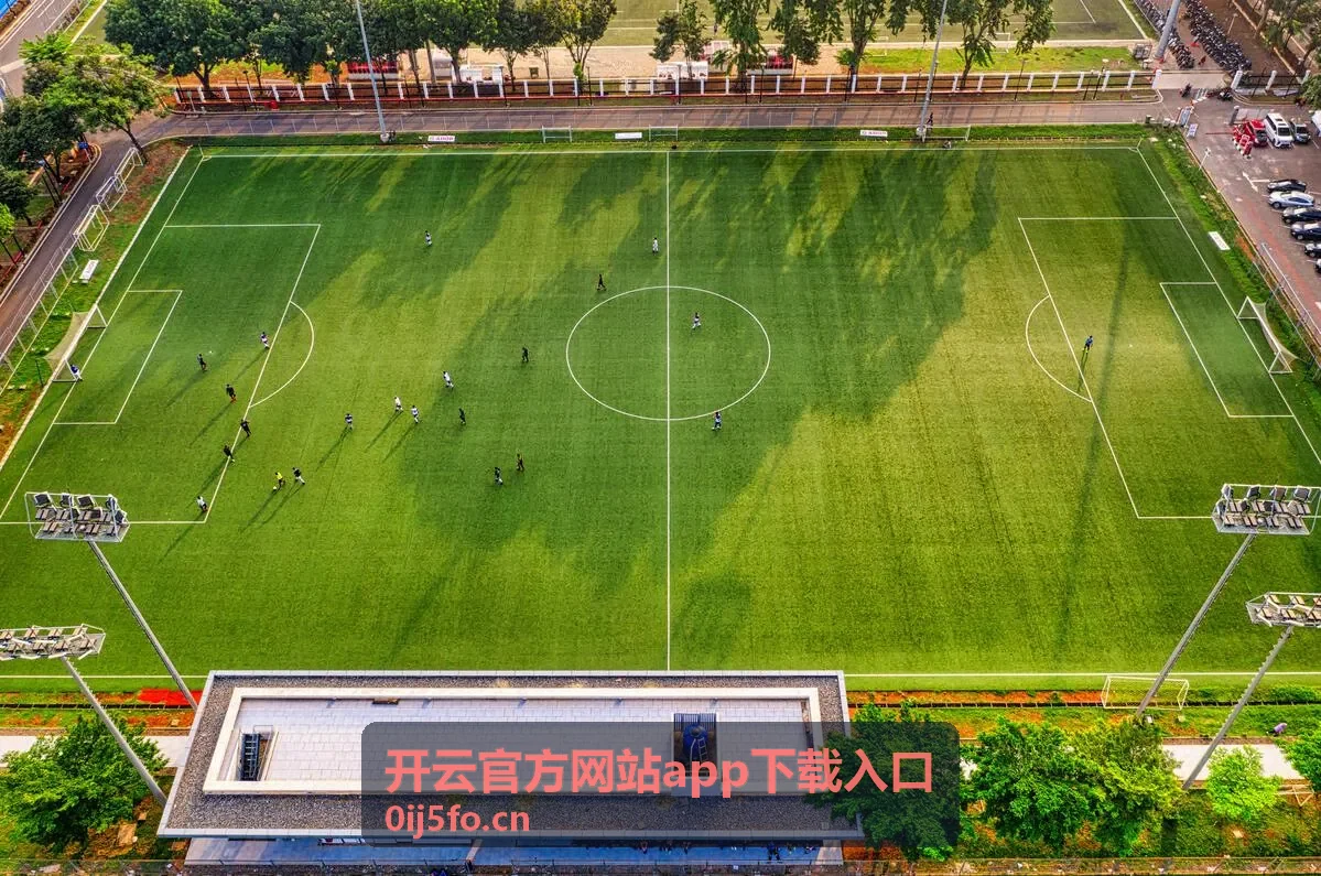 开云官方网站app下载入口鸿蒙客户端安装包封面
