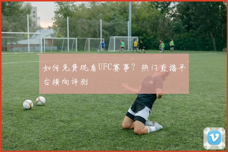 如何免费观看UFC赛事？热门直播平台横向评测