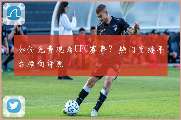 如何免费观看UFC赛事？热门直播平台横向评测