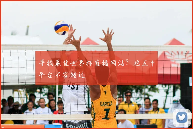 寻找最佳世界杯直播网站？这五个平台不容错过