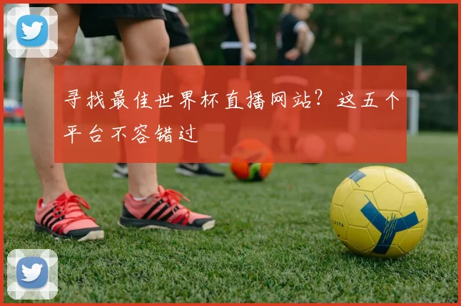 寻找最佳世界杯直播网站？这五个平台不容错过