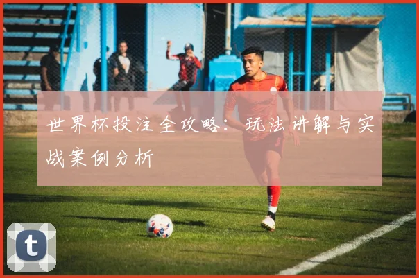 世界杯投注全攻略:玩法讲解与实战案例分析
