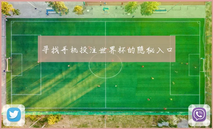 寻找手机投注世界杯的隐秘入口