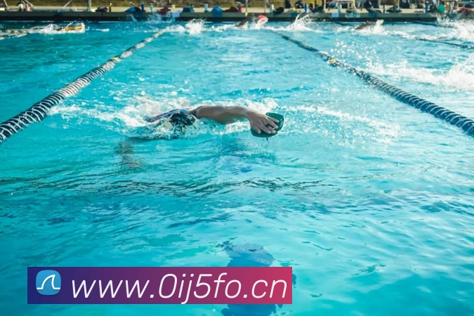 星空网手机官网入口平台生态图